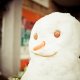 MAX_0257