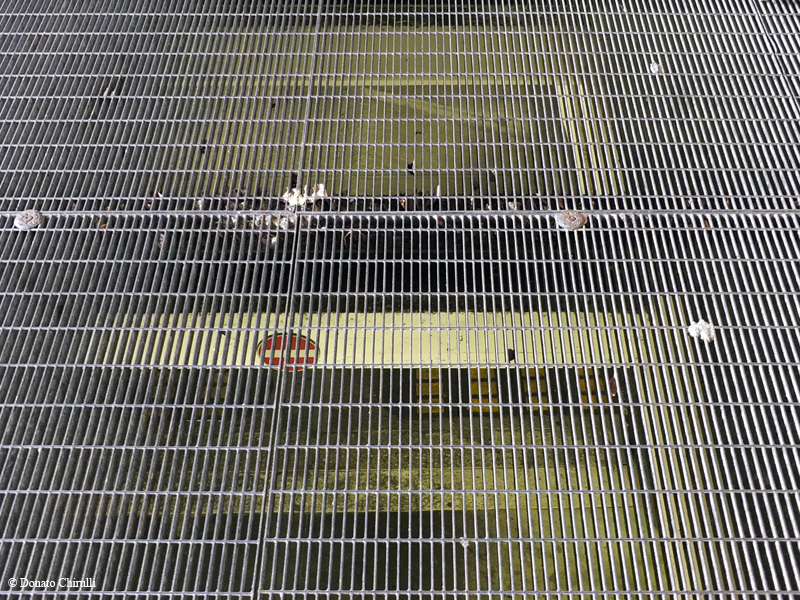 Iso 1600