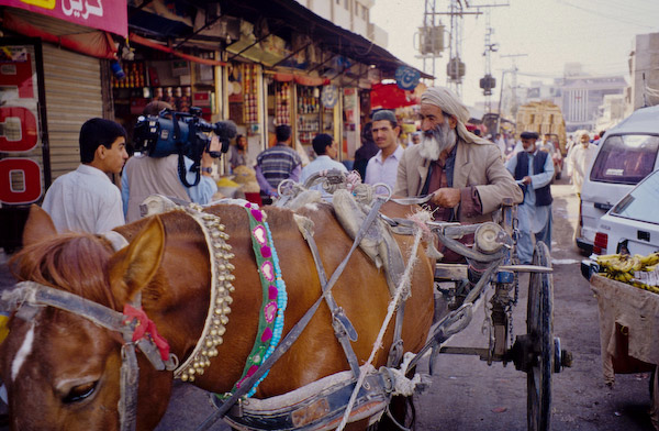 Quetta: il cavallo come mezzo di locomozione e trasporto